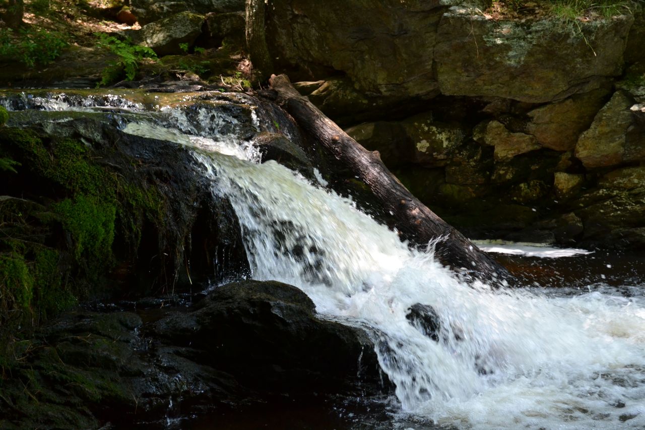 NH Family Hikes