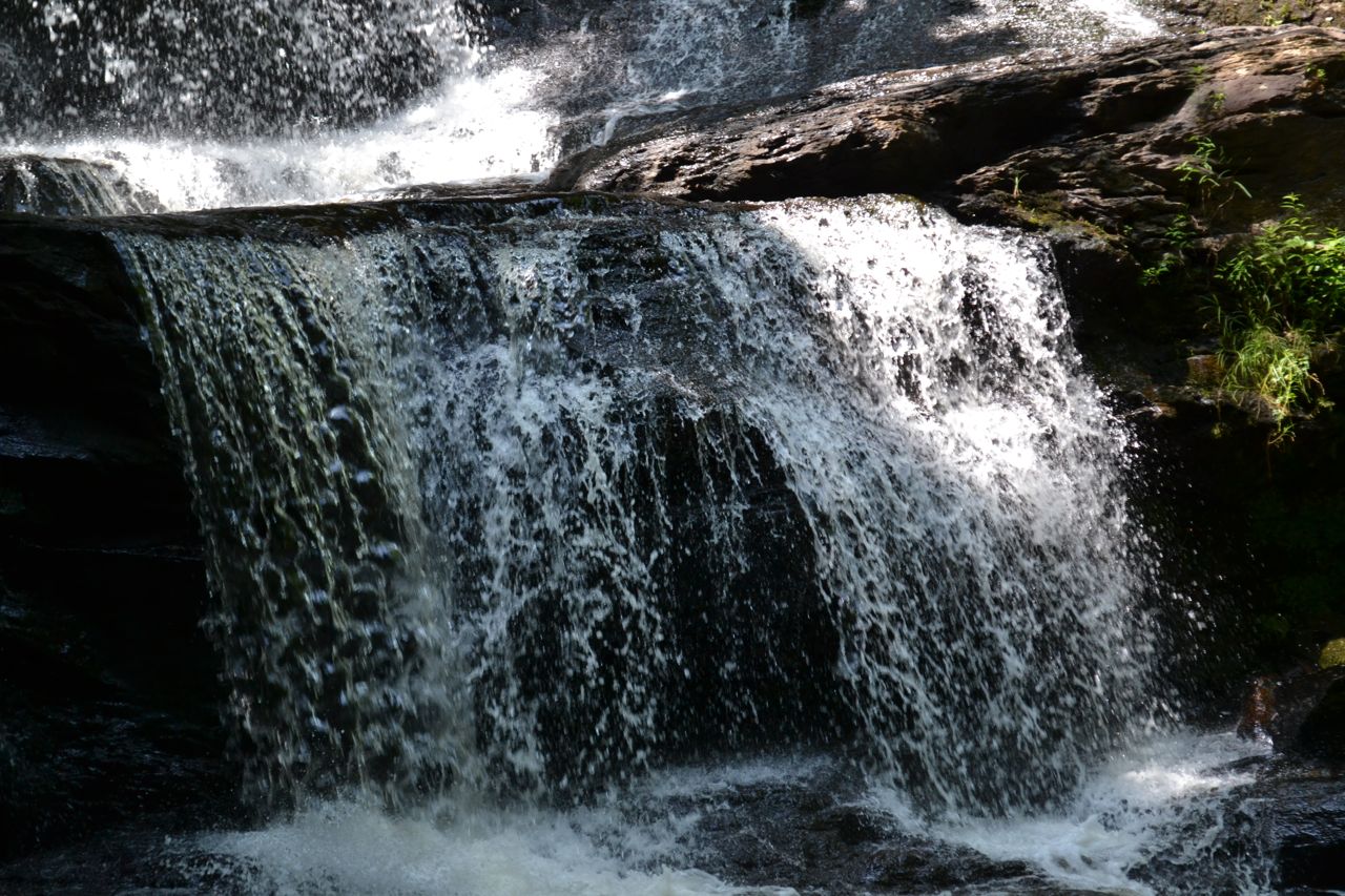 NH Family Hikes