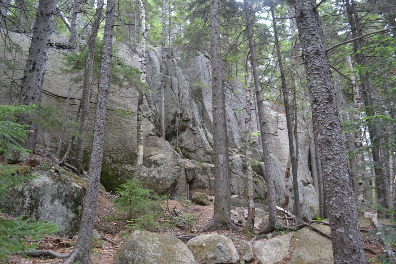 men's hedgehog hike ii m